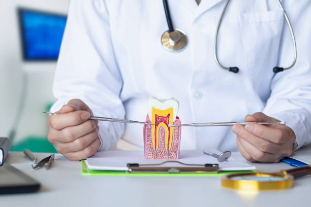 Best Pediatric Emergency Dentist in Fredericktown, MO